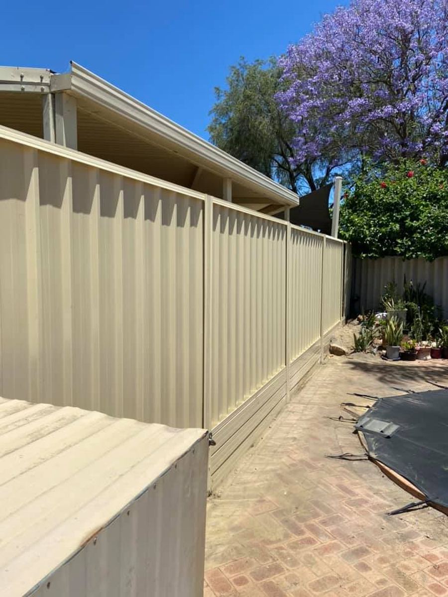 Colorbond fence along a brick-paved side path, a jacaranda in flower behind