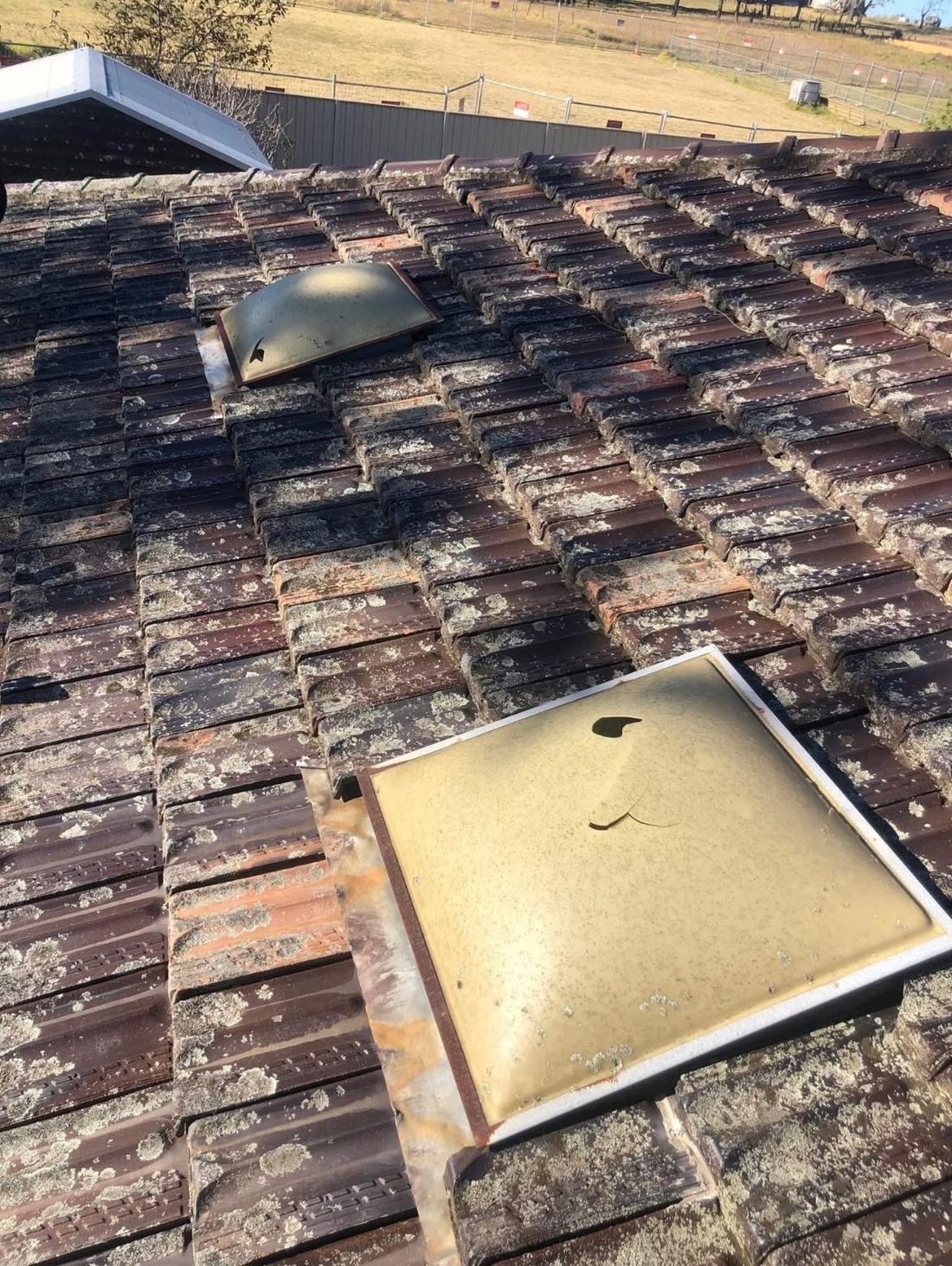 Old yellowed plastic dome skylight on a lichen-covered terracotta tile roof, before replacement